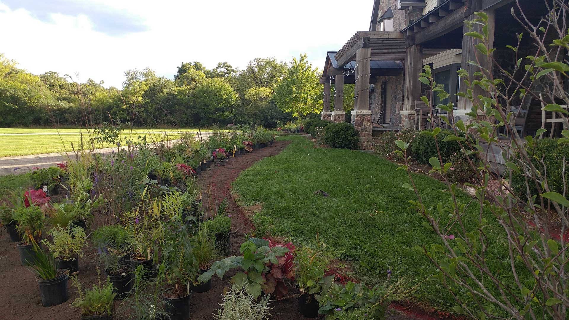Border Gardens