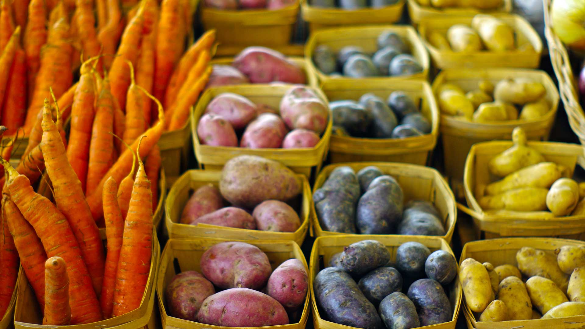 Planting Cool Season Veggies