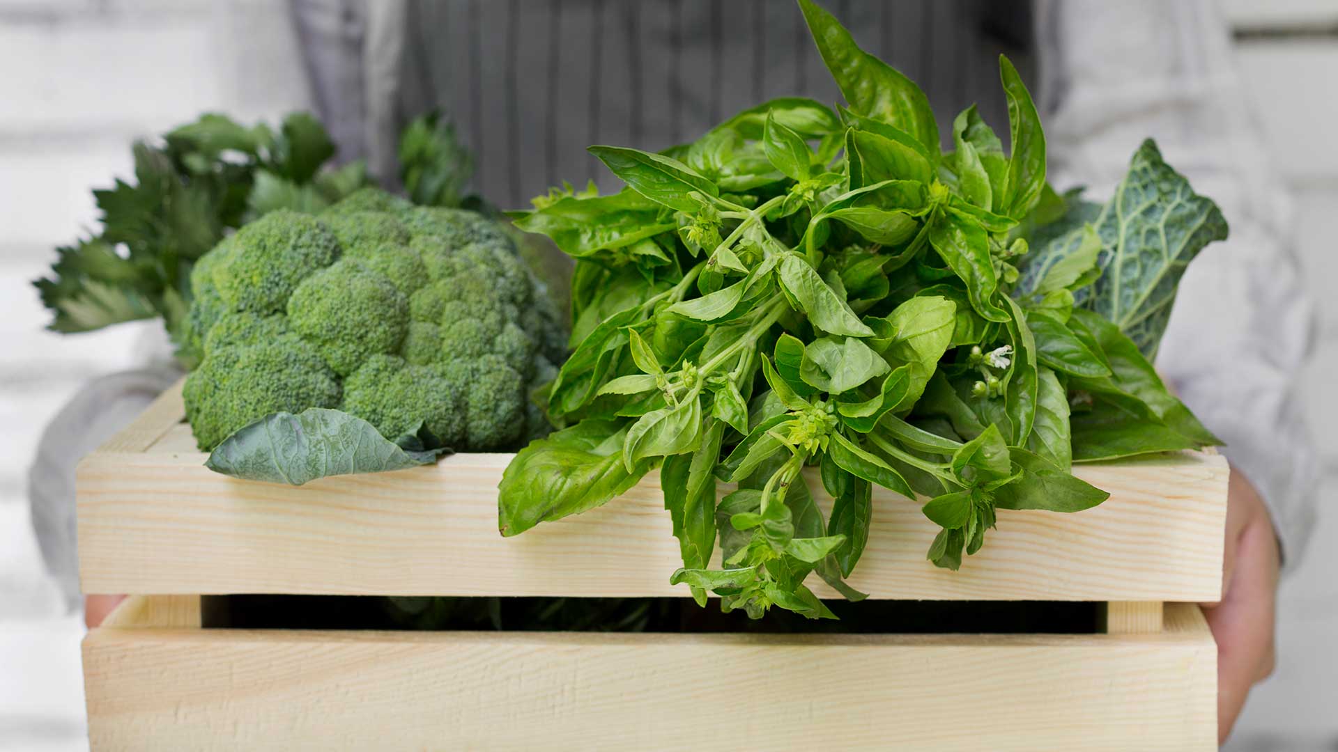 Guide To Companion Planting