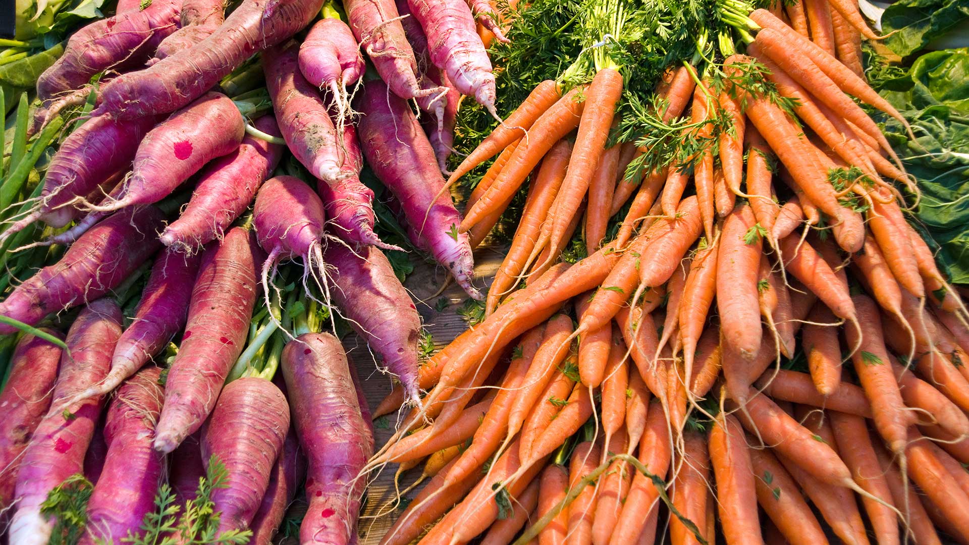 Cool Season Veggies Podcast