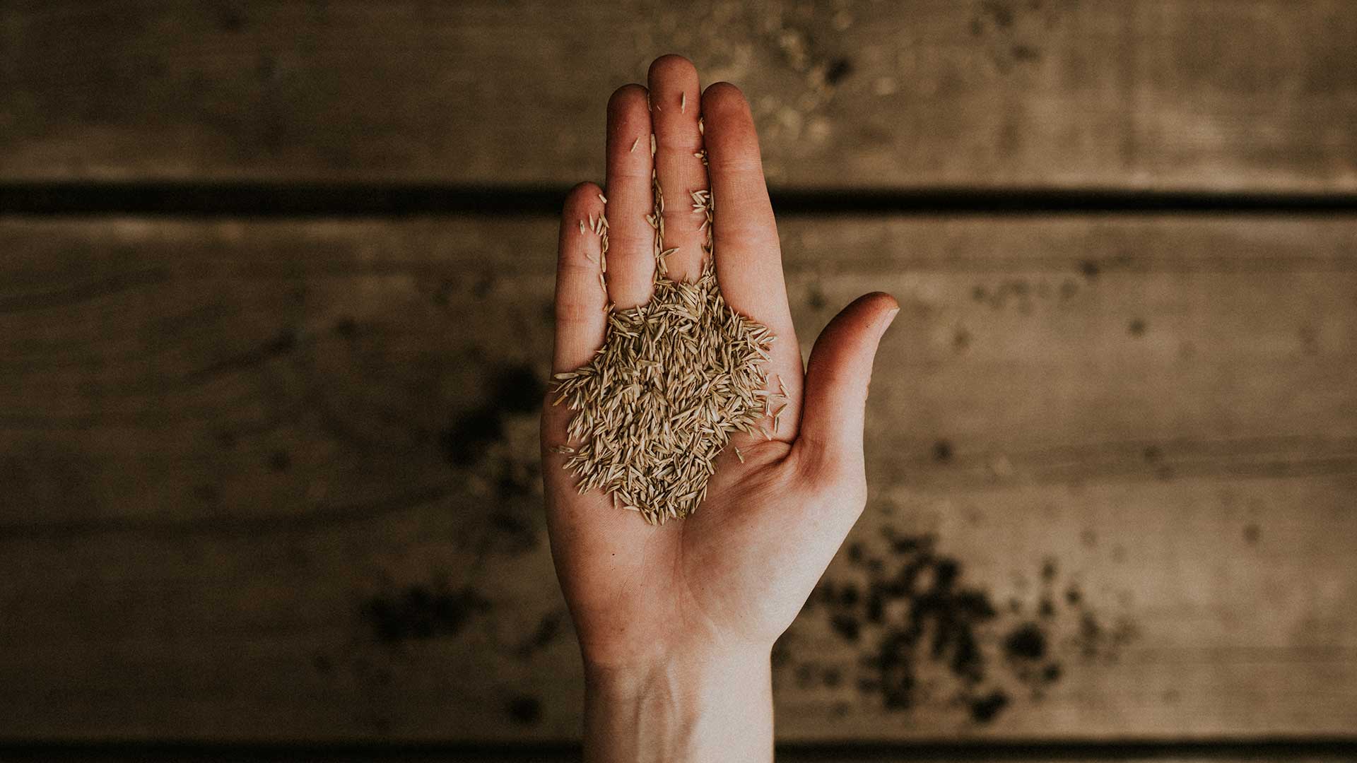 Guide to Successfully Sowing Seeds Podcast