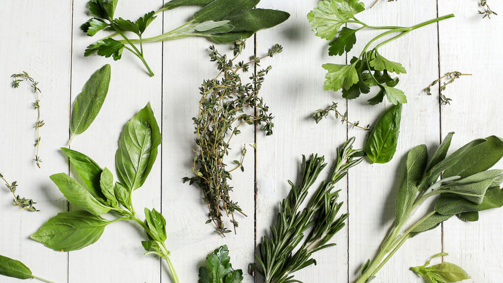What herbs to grow and how to grow herbs